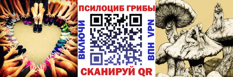 сайты даркнета официальный сайт  кракен ссылки  Псилоцибиновые грибы GOLDEN TEACHER  Аркадак  где продают  